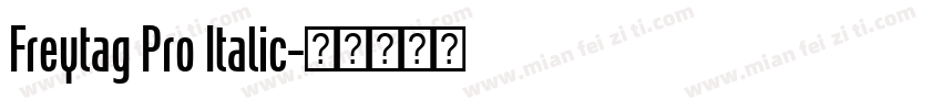Freytag Pro Italic字体转换